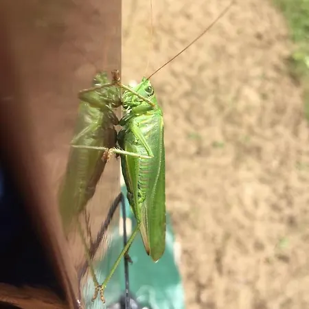 Drift Away Dom wakacyjny Mielno (Ostroda)