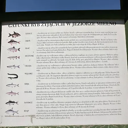 Dom wakacyjny Drift Away *