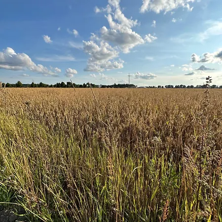 Drift Away Dom wakacyjny