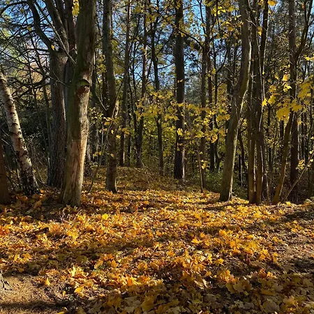 Drift Away Dom wakacyjny Mielno (Ostroda)